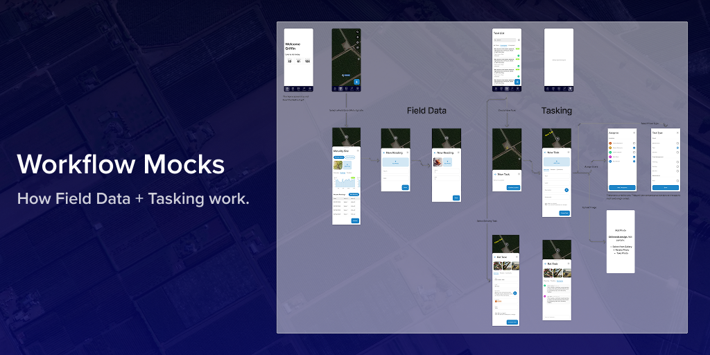High-fidelity Tabula app mockups showing rounded corners, generous buttons and a polished mobile interface
