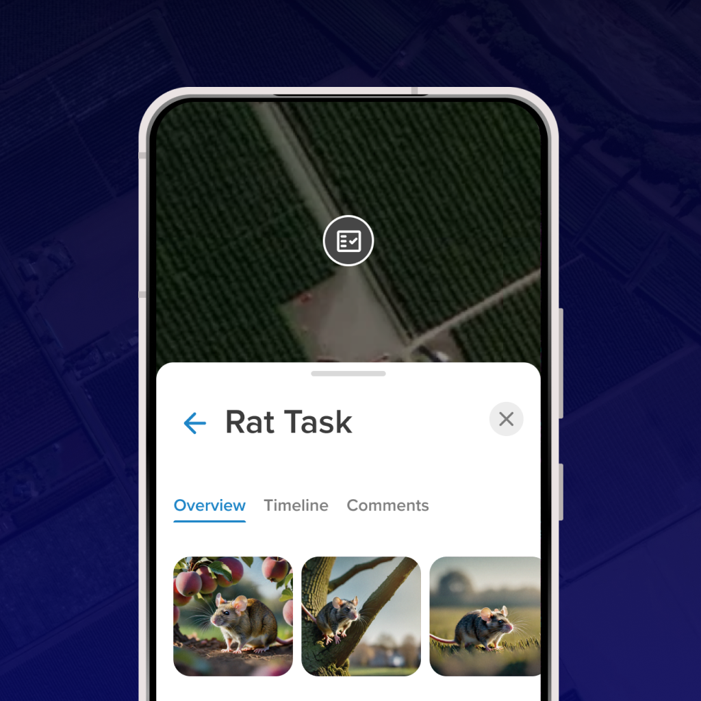 Tabula App interface design for data management